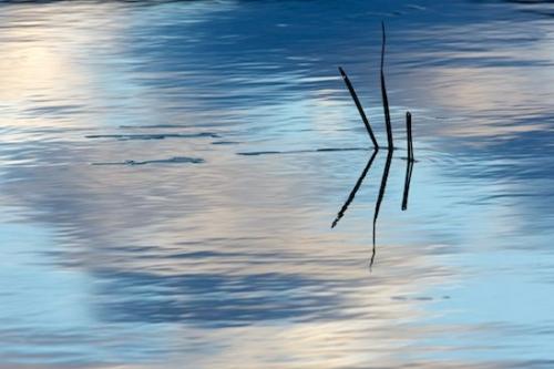 Vermont;White;zen;water;Oriental;New England;Details;close-up;reflection;reflections;Oneness;Peaceful;Silhouette;Blue;pond